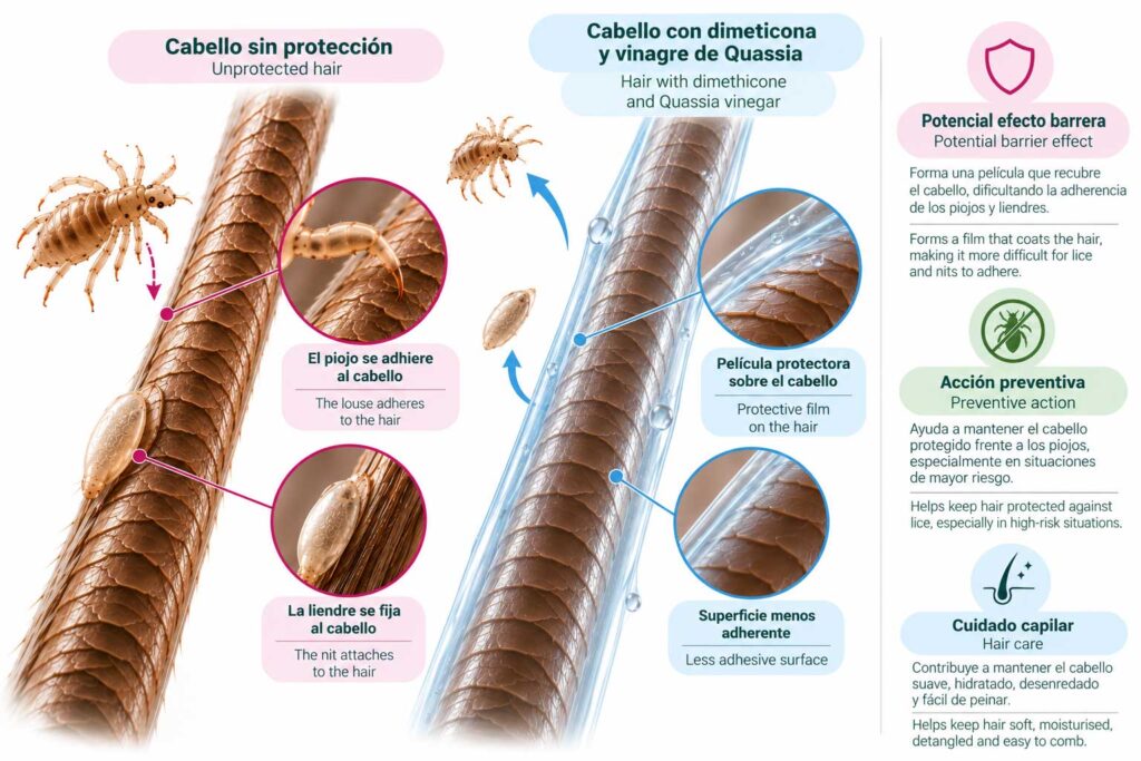 Infographic-Comparative_-Protective-Hair-against-lice_IDIOMAS